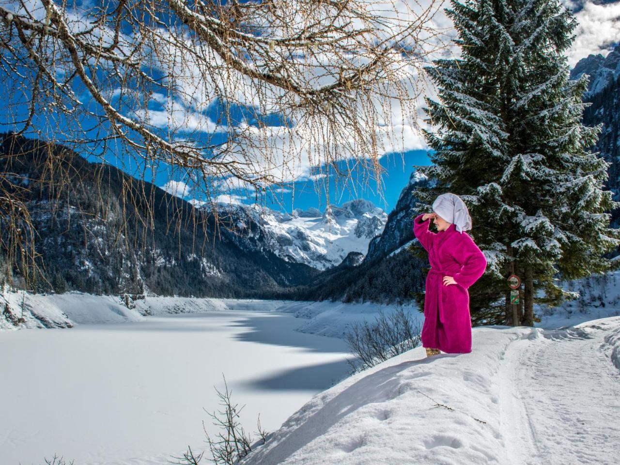 Schlafmeile Traunsee ابينسي المظهر الخارجي الصورة